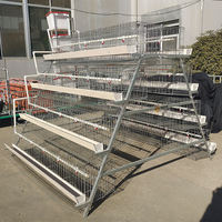 Nouvelle cage de batterie portable de type A 1 an de garantie pour les fermes de couches élevage d'oiseaux Construction en maille d'acier fabrication flexible