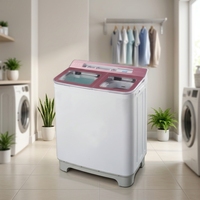 2026 Hot Selling 9KG Washing Machine Fast Safe Pulsator Semiautomatic Double Tub Washer for Africa Market