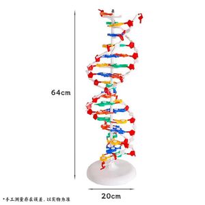 Modello di struttura della molecola a doppia elica in Pvc DNA per l'insegnamento della biologia del <span class=keywords><strong>liceo</strong></span> - Product Image 2