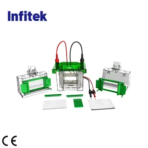 단백질 샘플의 수직 전기 영동을위한 Infitek 겔 전기 영동 전기 영동 시스템
