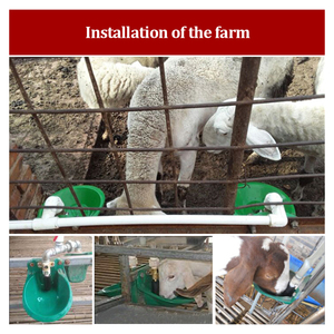 Tempat Minum Otomatis untuk Domba dan Kambing dari Plastik dengan Katup Tembaga, Tempat Minum Hewan, Tempat Makan Air untuk Unggas dan Ternak - Product Image 6