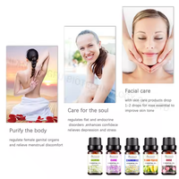 Huile Essentielle 100% Pure Pressée à Froid, 44 Arômes, Hydratante pour Tous Types de Peau - Marque Blanche Incluant Thé Blanc et Encens