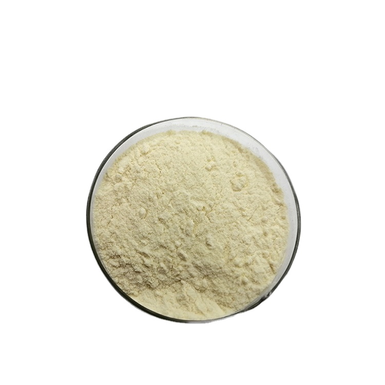 Sea Cucumber Peptidase Enzyme Powder