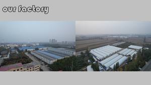 دودة الطحين عالية البروتين خالية من المواد الكيميائية - غذاء آمن للهامستر والأرانب والحيوانات الصغيرة الأليفة - Product Image 4