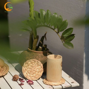 Manteles Individuales Pequeños Personalizables de Jacinto de Agua Tejido Ecoka, Naturales, Antideslizantes, Resistentes al Calor, Ecológicos, 10 cm de Diámetro, Modernos y de Lujo - Product Image 1