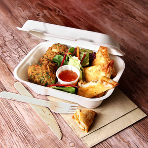 Kotak Makan Siang Persegi Panjang dari Bubur Kertas Tebu Bagasse, Kemasan Makanan Cepat Saji, <span class=keywords><strong>Burger</strong></span>, Pizza, Bento, Ramah Lingkungan, Biodegradable, Sekali Pakai - Product Image 4