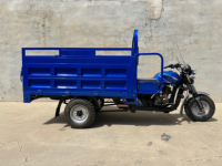 Tricycle de fret à essence 200cc à carrosserie ouverte, 3 roues, capacité de charge de 1000 kg, vitesse de 50-70 km/h, idéal pour la livraison agricole - Vente en gros