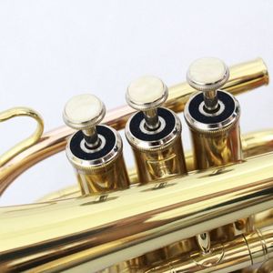 Trompeta de Bolsillo Económica de Buena Calidad, Instrumento Musical con Cuerpo de Latón <span class=keywords><strong>y</strong></span> Acabado Lacado en Oro - Product Image 3