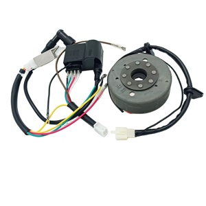 Bộ phận xe máy: Bộ phận đánh lửa + Cuộn dây đánh lửa + Bộ điều chỉnh cho xe ZUNDAPP - Product Image 2