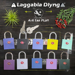 Groothandel Duurzame Mini Tsa Sleutel Slot Hangsloten Combinatie Wachtwoord Unlock Anti-Diefstal Zink Legering Deur Beveiliging - Product Image 3