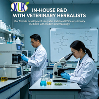 Vente en gros de produits pour chiens : BCAA, Glucosamine, L-Carnitine pour l'amélioration musculaire, la récupération, la nutrition, la performance des chiens de course et de travail K9, OEM