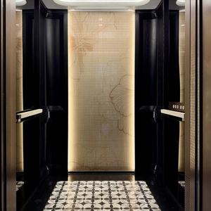 Ascensor de Pasajeros de Lujo Directo de Fábrica para Edificios de Oficinas, Diseño Moderno, Accionamiento por Corriente Alterna para Aplicaciones en Centros Comerciales - Product Image 1