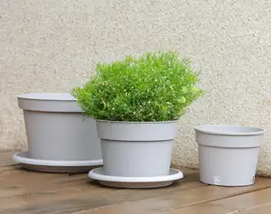 Wholesale Modern 4/5/6/8/10 Inch Orchid Pots Plastic Planter Round Nursery Pot With Tray For Succulent For Floor Use