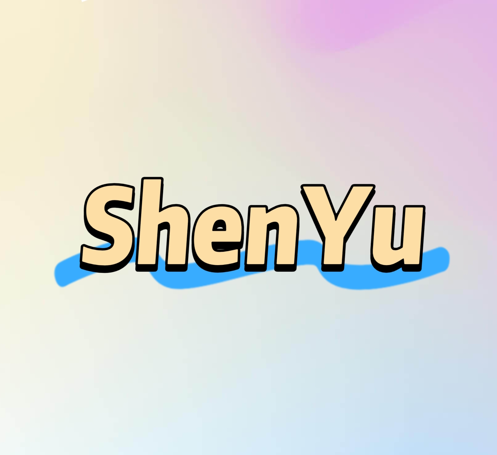 Guangdong Shenyu Intelligent Manufacturing Technology Co., Ltd. logo