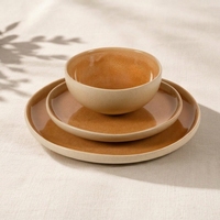 Ensemble de vaisselle en céramique moderne EKA 12 pièces pour la maison et la cuisine, compatible lave-vaisselle et micro-ondes, empilable, résistant aux éclats