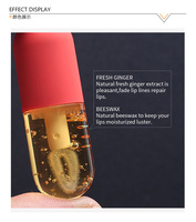 Sérum Nourrissant Bio à la Vitamine E, Huile à Lèvres Repulpante Bio Hydratante et Parfumée