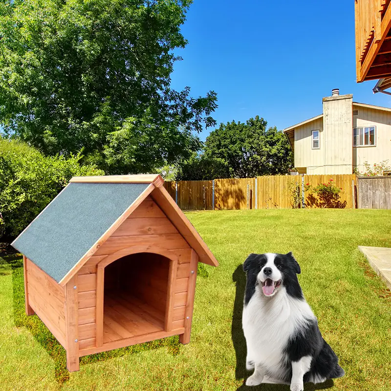 Venta caliente precio más barato jaulas de madera para mascotas para animales pequeños para patio trasero Perrera de madera para perros