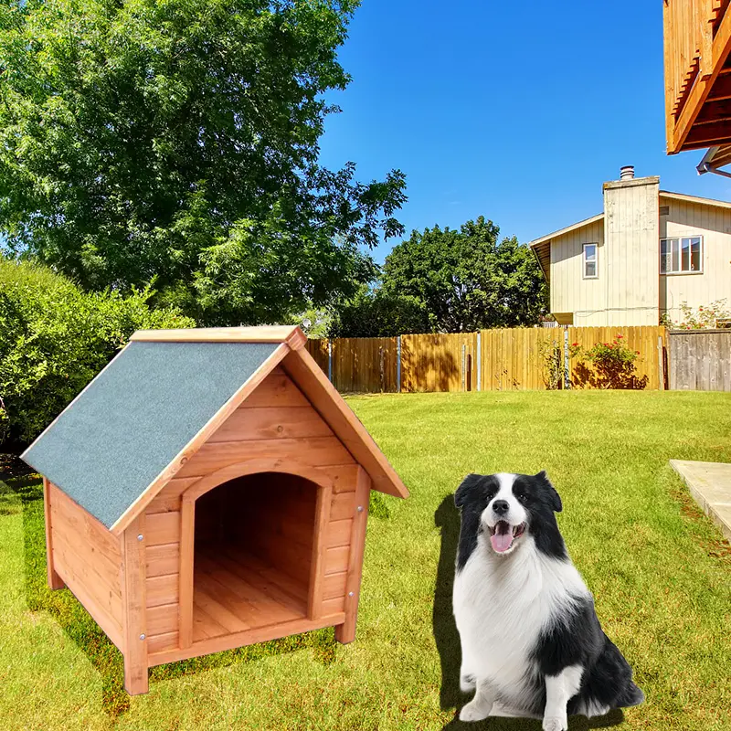 Offre Spéciale prix le moins cher Cages en bois pour animaux de compagnie pour petits animaux pour chenil en bois