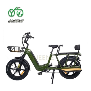 Bicicleta Eléctrica de 20 Pulgadas con Cuadro Bajo, Motor Trasero de 48V 500 750 1000W, Neumáticos Anchos y Asientos para Niños - Product Image 4