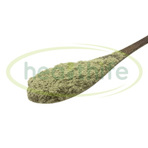 Healthife USDAおよびEU認定<span class=keywords><strong>Urtica</strong></span> <span class=keywords><strong>Dioica</strong></span>有機イラクサの葉の粉末 - Product Image 4