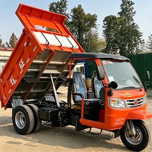 WAW WKH5B311 Triciclo Diesel per Carichi Pesanti con Motore da 32 CV e Capacità di Carico di 5 Tonnellate, Camion Ribaltabile a 3 Ruote con Guida a Destra e Freno ad Aria Triciclo WAW - Product Image 6