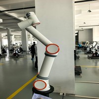 Robot Industrial de 6 Ejes con Certificación CE y Servicio ODM para Soldadura, Pulverización, Automatización de Maquinaria Alimentaria