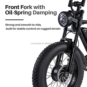 Wins T8 Vollgefedertes Mountainbike Stahlrahmen E-Bike 20 Zoll Elektrisches Fatbike - Product Image 4