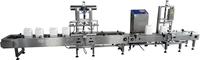Machine de remplissage automatique à deux têtes pour bidons de peinture à l'huile, vernis, revêtement, 18l 25l, machine de remplissage de bidons, machine de pesage et de remplissage