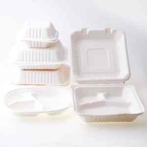 Recipiente de comida de bagazo de pulpa compostable 100% con tapa para ocasiones de fiesta - Product Image 3