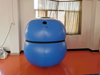 Costume gonflable bleu de boule de myrtille de PVC nouvelle forme annonçant des gonflables