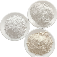 Argile Kaolin Ultra-Blanche Haute Pureté, Haute Luminosité 90%+, Amélioration de la Dureté de la Glaçure, Poudre Ultra-Fine Calcinée pour Peinture