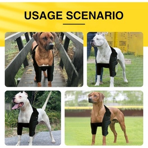 Equipo de protección Flexible <span class=keywords><strong>para</strong></span> perros, cinturón elástico, <span class=keywords><strong>rodilleras</strong></span> funcionales de compresión, coderas, uso en gimnasio, alivia el dolor articular de las piernas, postoperatorio - Product Image 4
