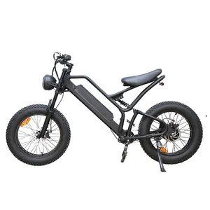 20英寸胖轮胎750瓦电动自行车Fiets Fietsen EU NL eBike 48V 15AH锂电池液压胖自行车电动荷兰