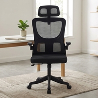 Chaise de bureau ergonomique moderne en maille pour la maison - Montage rapide, design extensible, accoudoirs relevables, appuie-tête réglable 2D
