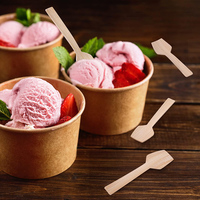 Cuillère jetable pour gâteau et glace, cuillère en bambou moderne, biodégradable et écologique