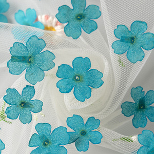 Bela — artisanat pour ongles, décoration pour Nail Art, fait à la main, avec petites fleurs pressées - Product Image 6