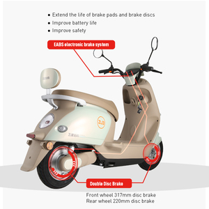 יצרן סיני זול אנדורו חשמלי זול למבוגרים - Product Image 5