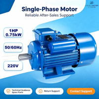 Moteur asynchrone monophasé à condensateur YC/YCL Steady 220V 0.75KW 1HP 4 pôles en fonte IE1 50/60Hz à montage sur pied