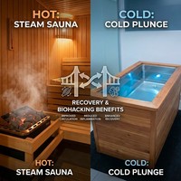 Ruang Terapi Sauna Luar Ruangan dan Cold Plunge Terpadu dengan Sauna Uap, Shower, dan Chiller