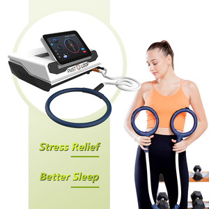 Professional PEMF Therapy Machine s Horses Magnetic Pulse Device Pain Relief Rehabilitation Scraping Apparatus - Product Image 2