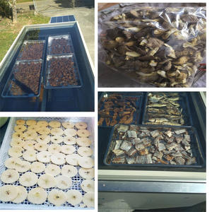 Máquina de secado de alimentos de acero inoxidable Secador de frutas solar Deshidratador Proveedor de deshidratador vegetal solar - Product Image 6