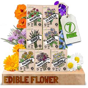 Venta caliente SPROUT SOSTENIBLE Flor comestible para plantar - Product Image 1