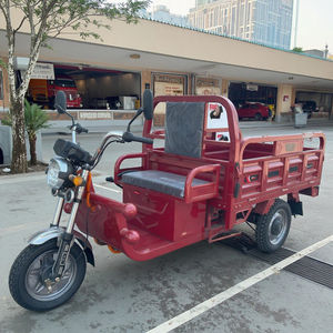 Tricycle électrique de fret 60V 1000W à <span class=keywords><strong>3</strong></span> roues, moto à benne basculante pour le transport de marchandises, certifié CEE pour le transport de passagers - Product Image 1