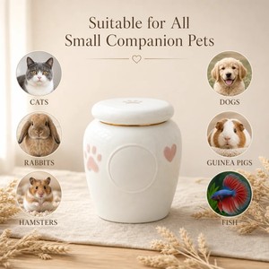 Urne funéraire personnalisée en céramique blanche avec <span class=keywords><strong>photo</strong></span>, bord doré, patte et cœur en relief, pour cendres d'animaux, souvenir de crémation pour <span class=keywords><strong>chien</strong></span> et chat - Product Image 2