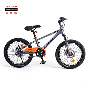 Bicicleta Infantil Nueva con Cuadro de Acero al Carbono Totalmente Resistente a Impactos, Horquilla, Ruedas de 20 Pulgadas, Frenos de Disco, Ruedas de Entrenamiento, Sillín Impermeable, Una Sola Velocidad - Product Image 1