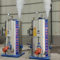 Generador de Vapor Vertical LHS de Encendido Rápido, Funciona con Aceite, Gas o GLP, Ahorro de Combustible para Pequeñas y Medianas Empresas