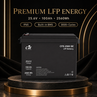 Batterie LiFePO4 LFP CFE-2560 SE 25,6V 100Ah avec BMS IP65, 3000 cycles, décharge maximale 100A pour onduleur Victron Energy, solaire, camping-car, marine