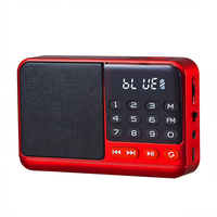 Nouveau haut-parleur portable en plastique multifonctionnel avec radio FM numérique BT, lecteur MP3, carte USB TF et fonction d'enregistrement