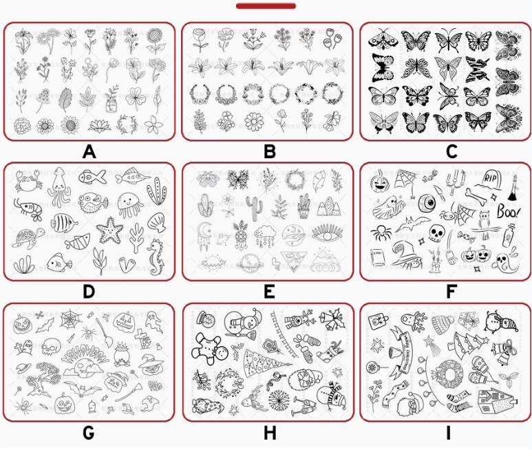 Choisissez-en un parmi l'image