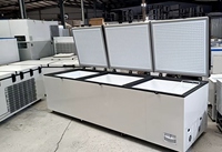 Заводская цена Tunto Green Power 24В Коммерческий солнечный морозильный ларь 450-1088 л, 2-3 двери, компрессорное охлаждение R134a, солнечные панели